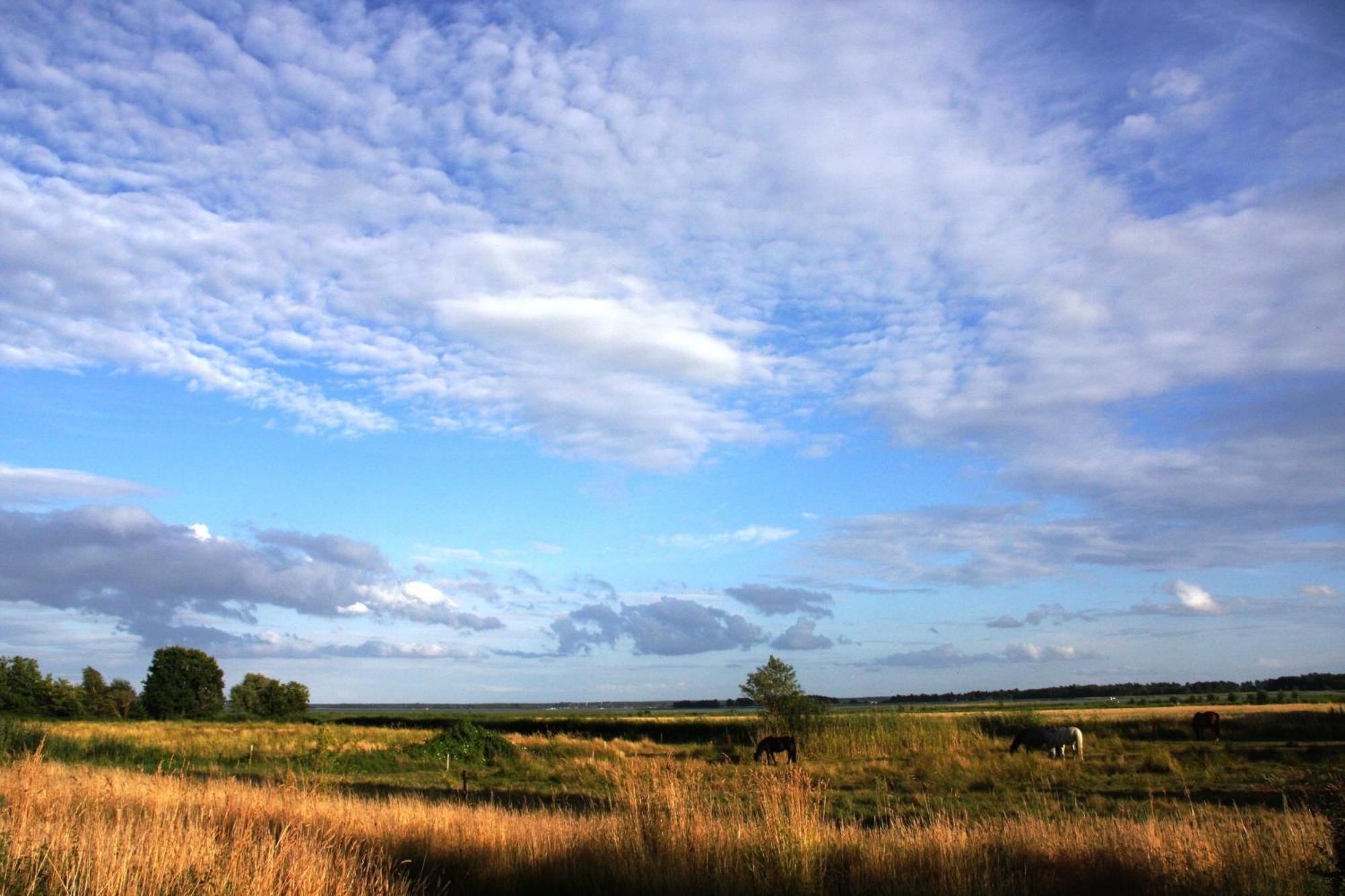 Wiesenidyll Wieck Exterior foto
